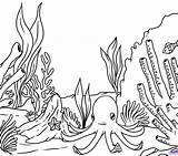 Seaweed Coloring Pages Getcolorings Getdrawings Coral sketch template