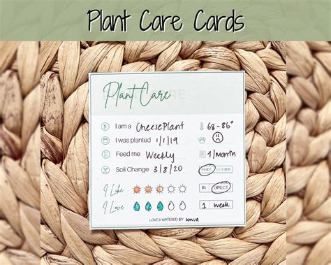 plant care tags printable plant care instructions card etsy canada