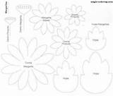 Flower Template Coloring Daisy Chamomile Magic Matricaria Flores Paper Flowers Templates Patrones Pages Disney Print Choose Board Visit Main Fabric sketch template