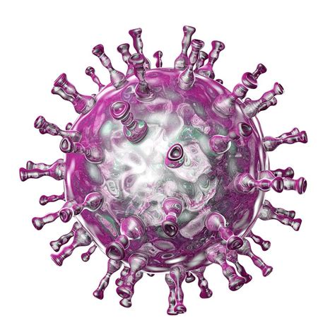 chickenpox virus photograph by kateryna kon science photo library