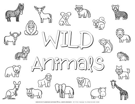 wild animals images planerium
