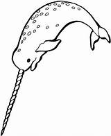 Narwhal Kawaii Outline Narwhals Everfreecoloring Netart sketch template