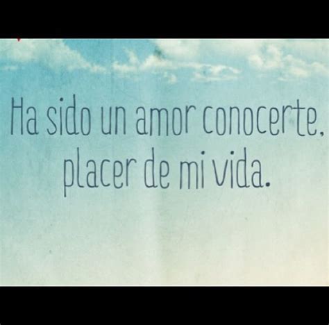ha sido  amor conocerte placer de mi vida el amor