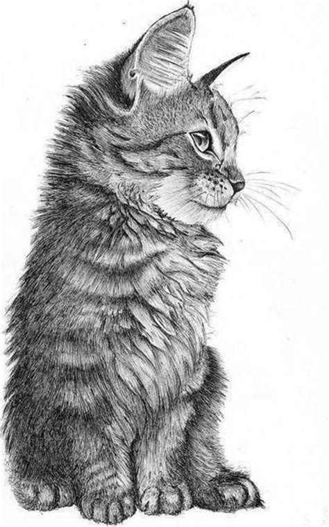 simple  easy pencil drawings  animals   beginner page
