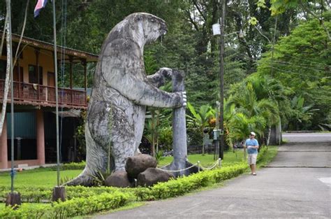 what it s like to visit sloth sanctuary in costa rica business insider