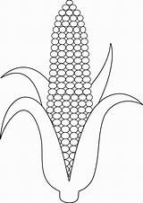 Cob Jagung Maize Sketsa Pngwing Stalk Milho Manis Mewarnai Kartun Maiz Maíz Macam Rebus Sudut Bermacam Lineart W7 Otoño Cardstock sketch template