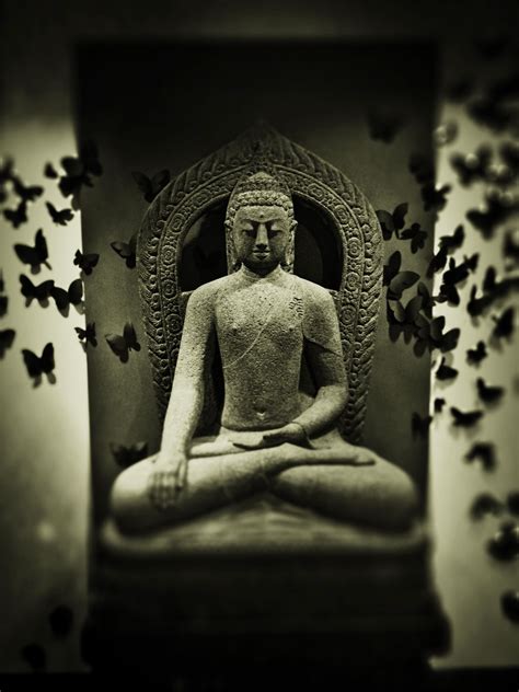 Find Peace Buddha Statue Finding Peace Art