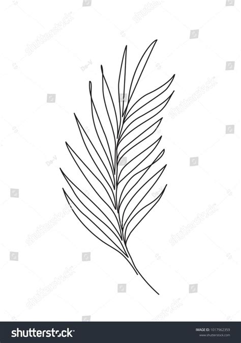 palm leaf  art contour drawing stock vector royalty
