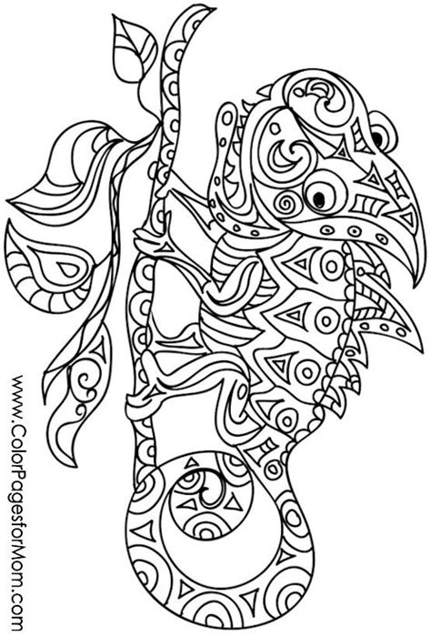 pin  coloring whimsical