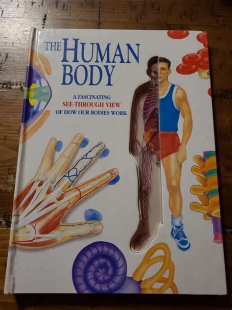 human body  fascinating   view    bodies work
