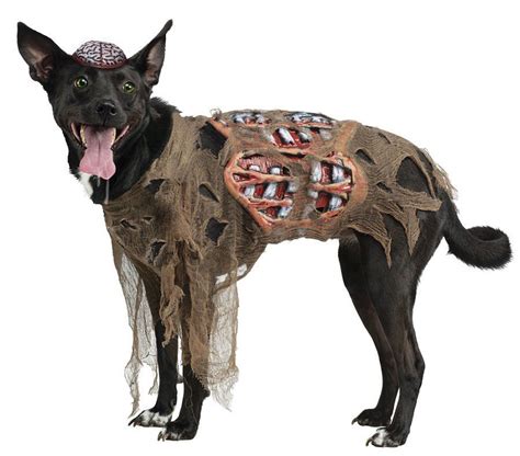 zombie dog costume