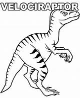 Coloring Velociraptor Pages Dinosaur Dinosaurs Printable Print Sheets Topcoloringpages Sheet sketch template