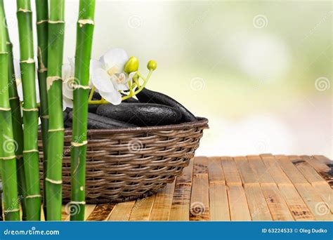 bamboo stock image image  leaf orchid body pebble