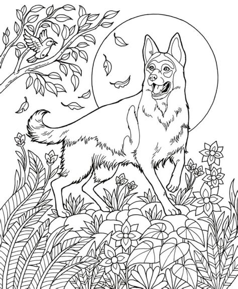 german shepherd coloring pages  printable coloring pages  kids