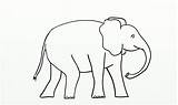 Elephant Printablee sketch template