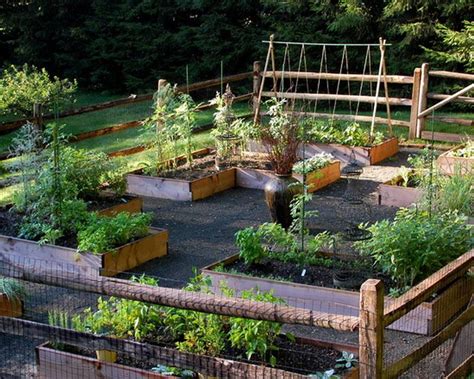 impressive vegetable garden designs  plans