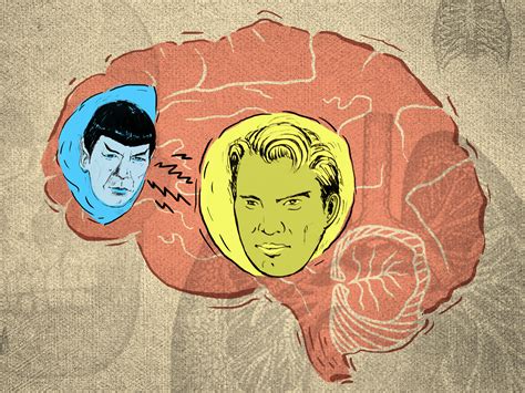 The Teenage Brain Spock Vs Captain Kirk Colorado