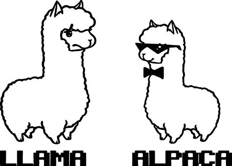 llama  alpaca coloring page wecoloringpagecom animal coloring