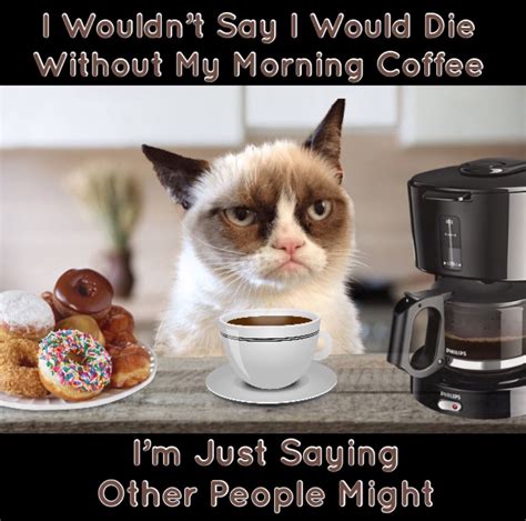 Grumpy Cat Coffee Memes Coffee Humor Coffee Meme Coffee Quotes