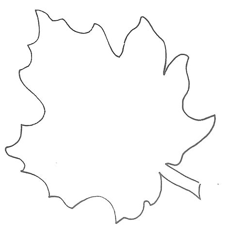 leaf template  clipart