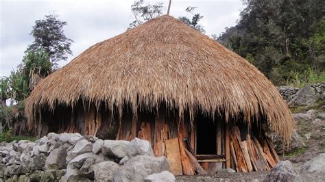 rumah adat papua honai rumah adat indonesia