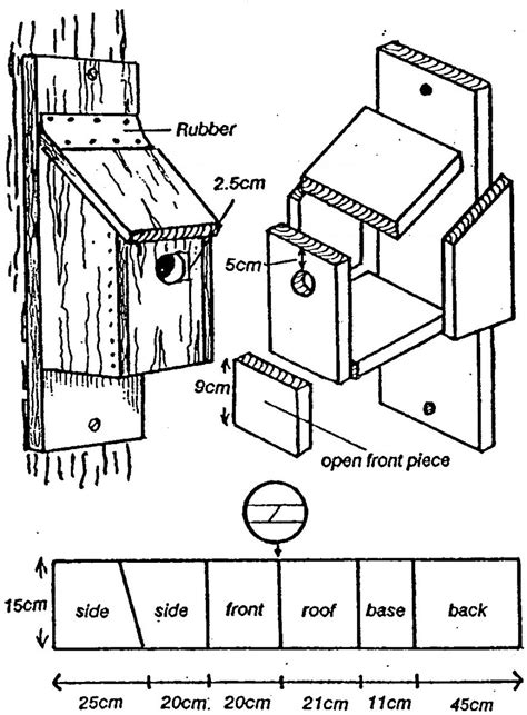 bird   bird nesting box plans