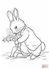 Rabbit Peter Coloring Pages Print sketch template