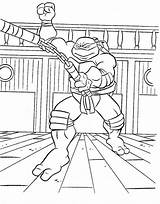Colorat Testoasele Tortue Mutant Planse Teenage Escargot Hugo Eroi P07 Tortugas Tortues Ninjas Donatello Battre Gratuit Pegar Primiiani Jeux Desene sketch template