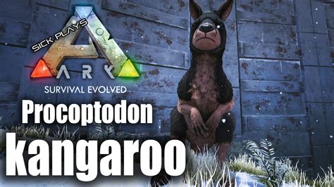 ark survival evolved procoptodon  tame kangaroo taming gameplay