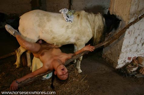 girl fuck cow pictures xxx photo