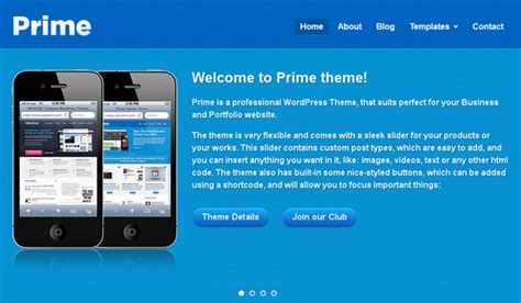 prime wordpress theme review