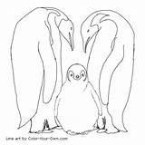 Emperor Penguins sketch template