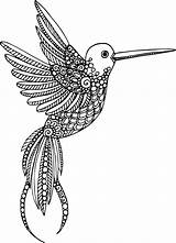 Coloring Boyama Kidspressmagazine Hayvanlar Mandalas Hayvan Paon Hummingbird Coloriages sketch template