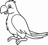 Parrot Drawing Getdrawings sketch template