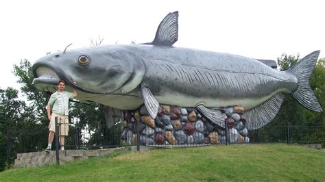 big worlds largest catfish