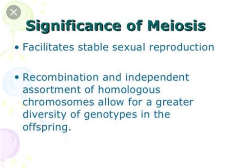 Significance Of Meiosis Biology Notes Teachmint
