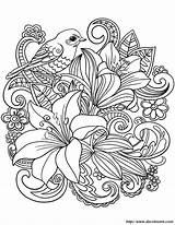 Fiori Uccello Posto Cambiare Potete sketch template