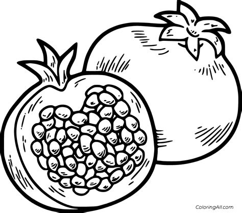 pomegranate coloring pages coloringall