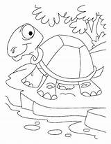 Coloring Pages Desert Tortoise Thirsty Habitat Sahara Printable Animals Getcolorings Getdrawings Oasis sketch template