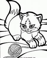 Coloring Pages Kitten Cat Printable Kids Kittens Cooloring Cartoon Visit Books Sheets sketch template