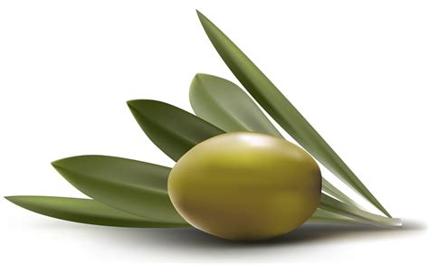olive  entrepreneurs  spend time saving money