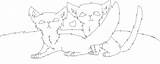 Warrior Base Cats Mates Deviantart sketch template