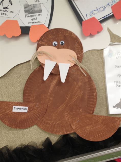 paper plate walrus  swimmer ocean crafts walrus wagner paper