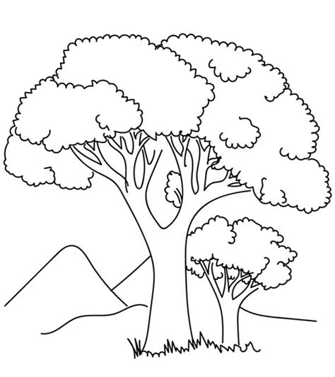 ideas  coloring coloring tree printable