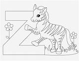 Alphabet Zebra Letters Animal Worksheet Coloring Kids Pages sketch template