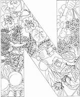 Letter Coloring Pages Printable Alphabet Book Letters Supercoloring Choose Board sketch template