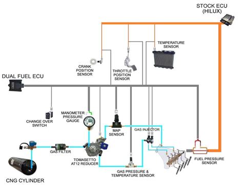 installation diagram  dual fuel conversion kit  cng cylinders  scientific diagram