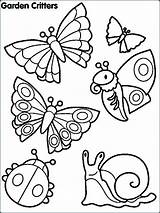Insects Getcolorings Igcse sketch template