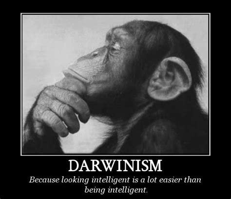 nazaroo zone darwinism  intelligent chimp demposters cont
