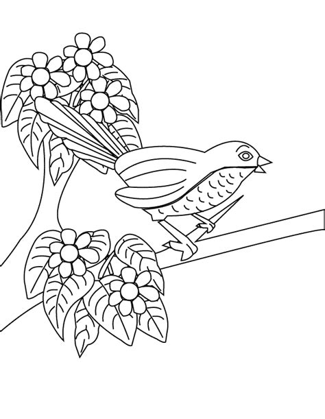 coloring pages bird